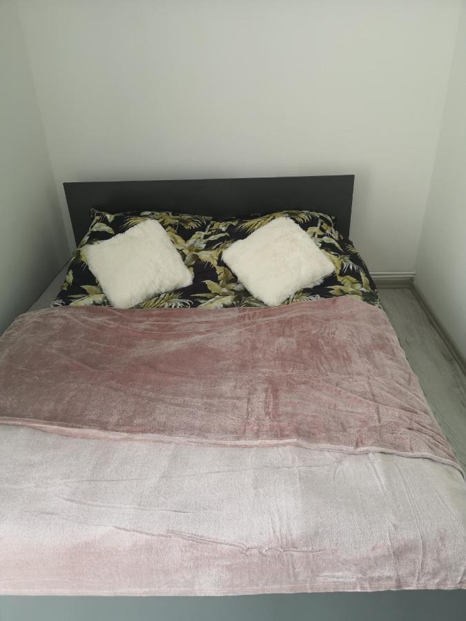 Apartament Radosc エルブロンク エクステリア 写真
